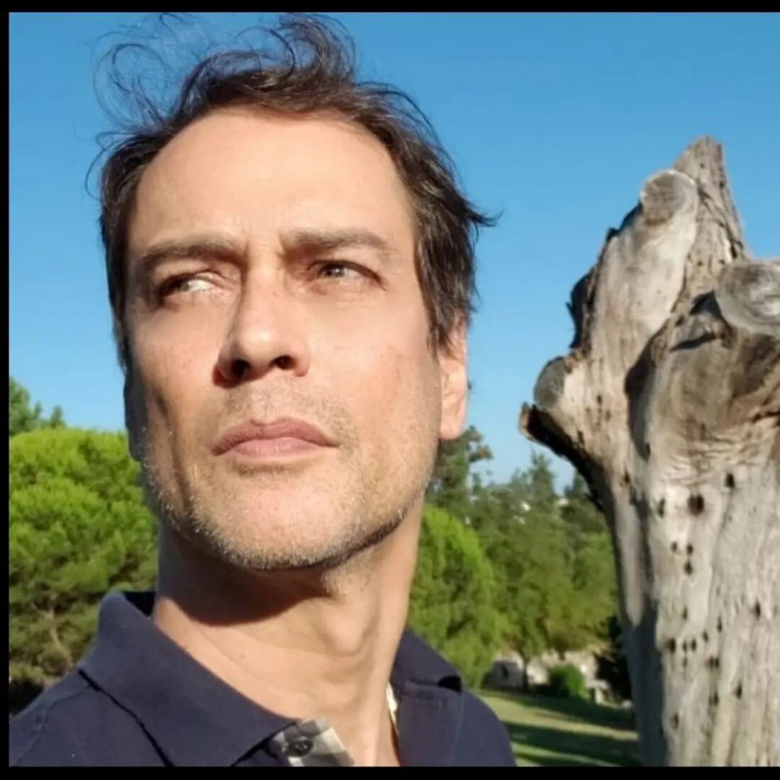 Marcello Antony.webp