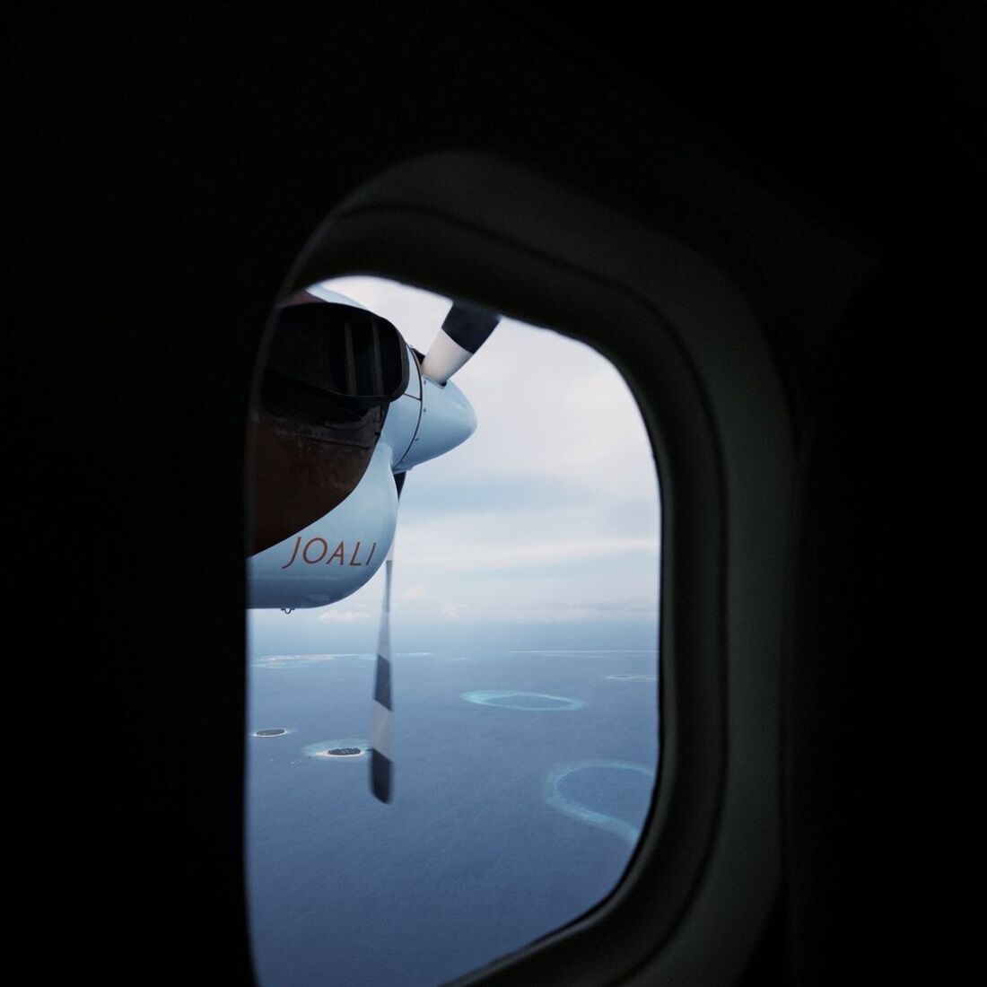 Daniela Melchior, publicação