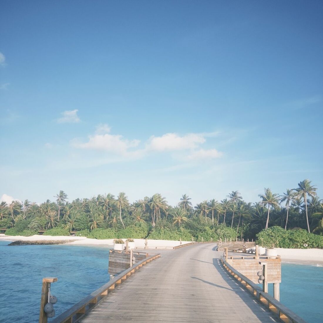 Daniela Melchior, publicação