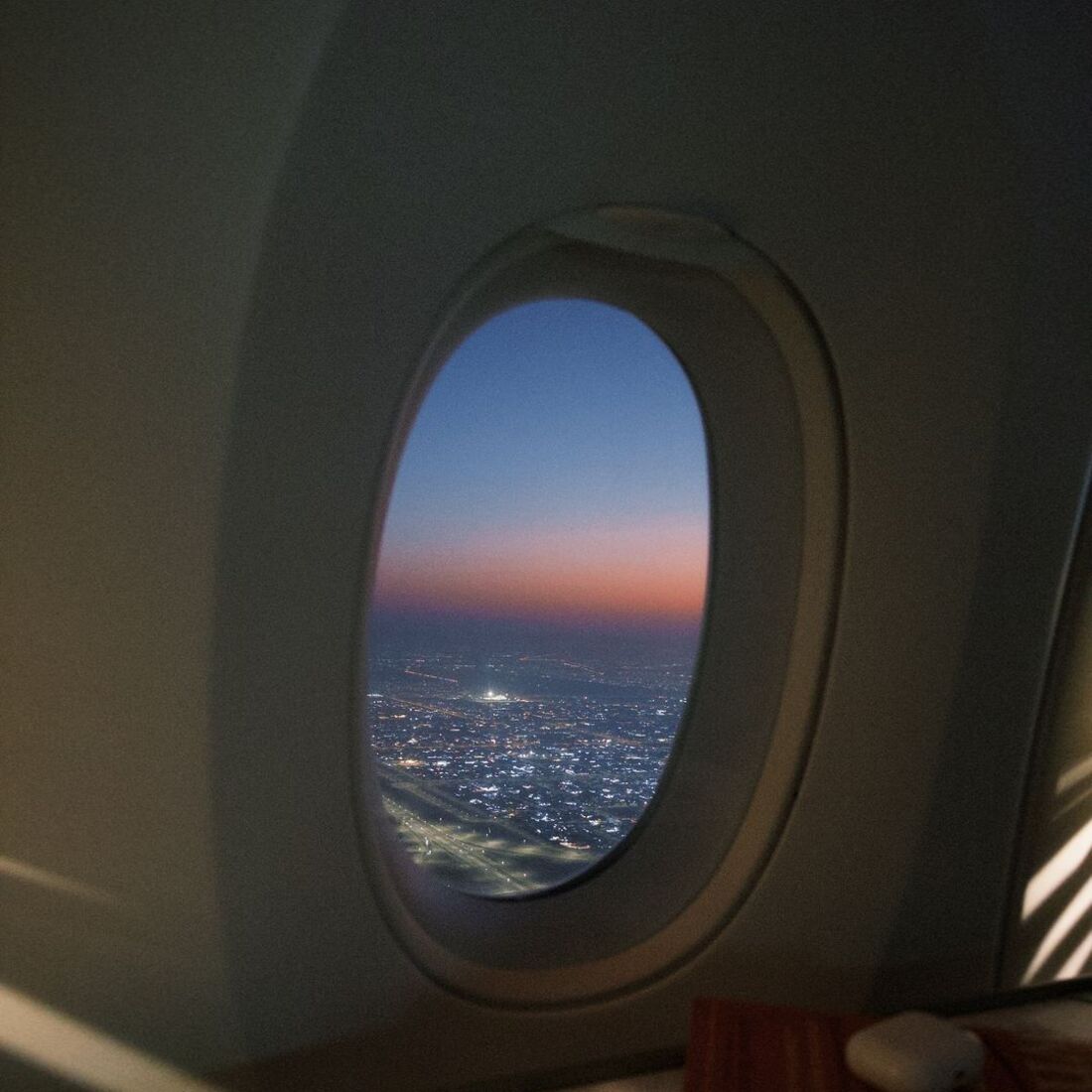 Daniela Melchior, publicação