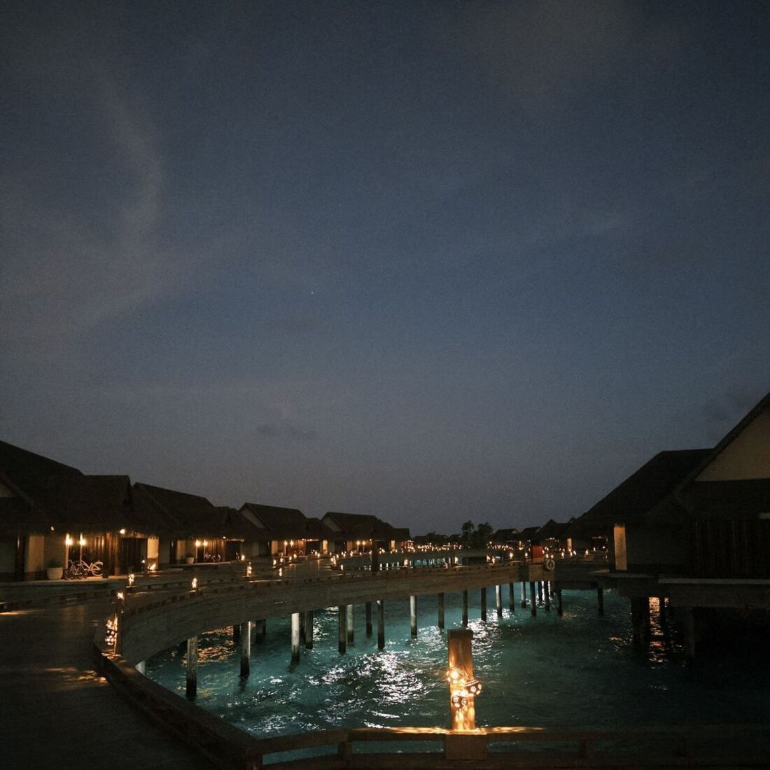 Daniela Melchior, publicação