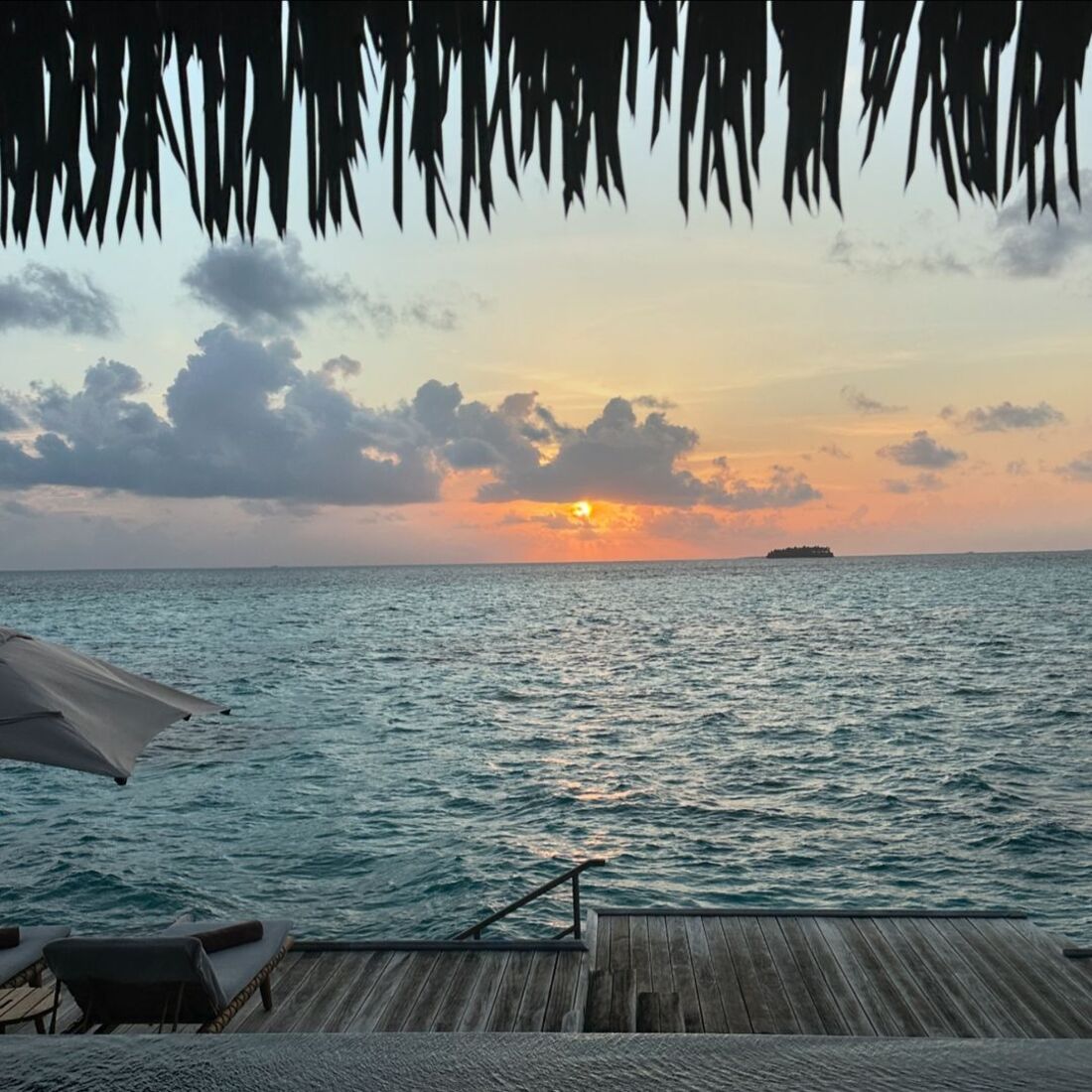 Daniela Melchior, publicação