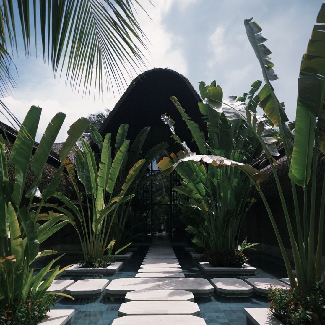 Daniela Melchior, publicação