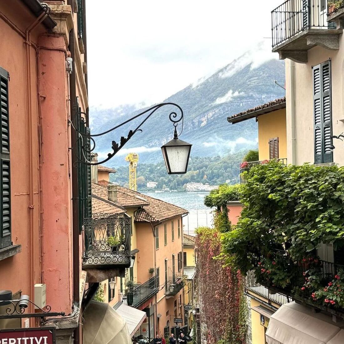 Fernanda Serrano, publicação