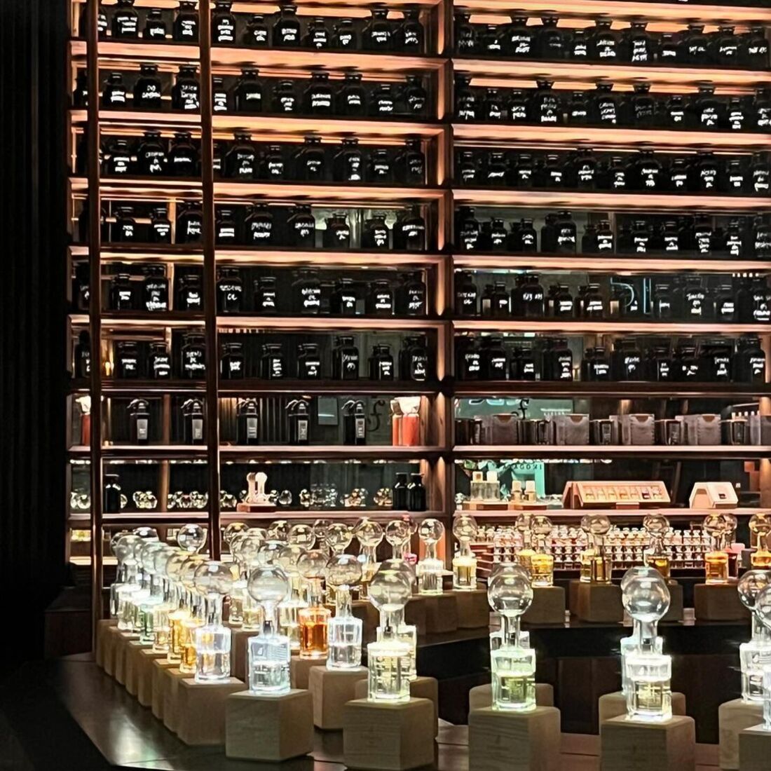 Fernanda Serrano, publicação