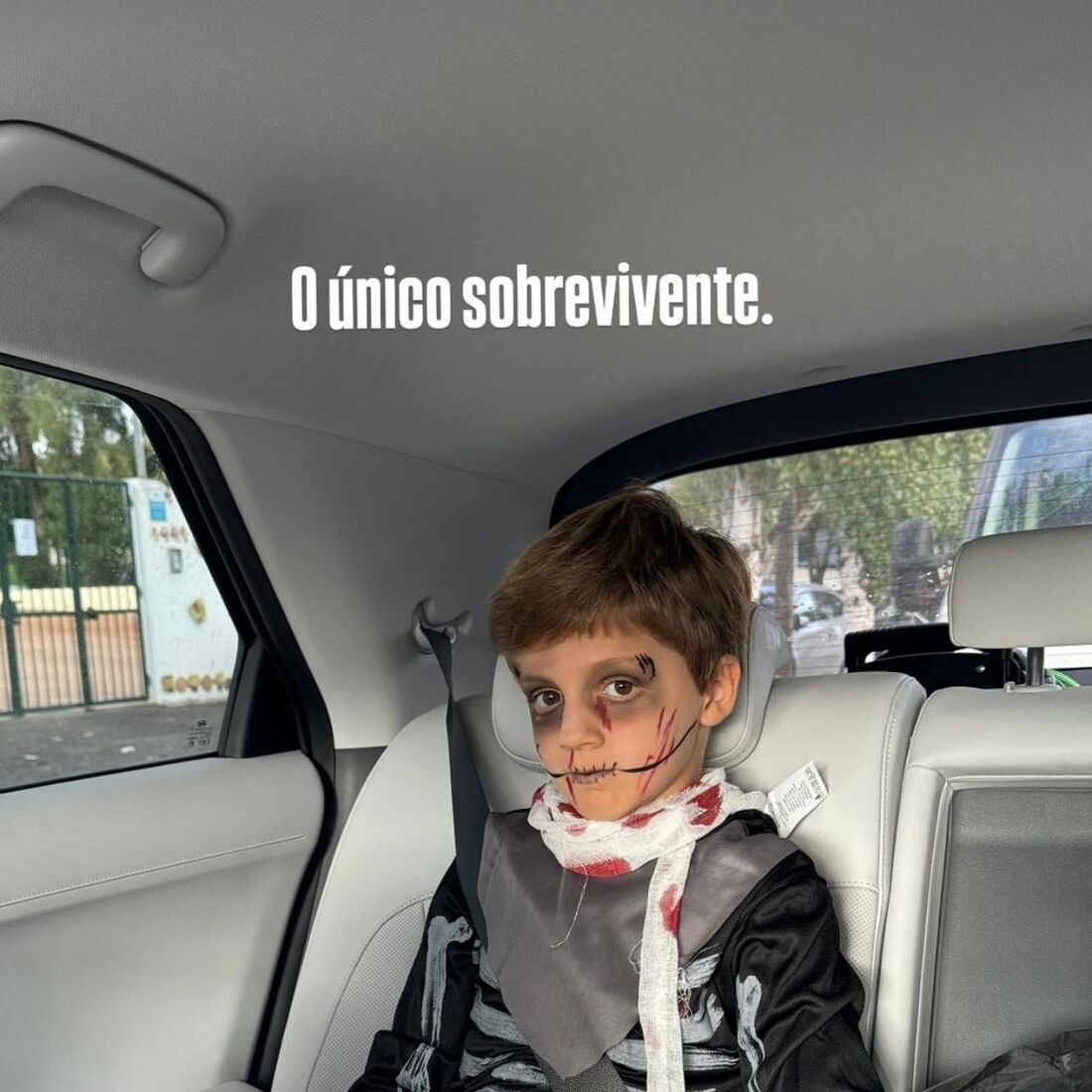 filho Madalena Abecasis