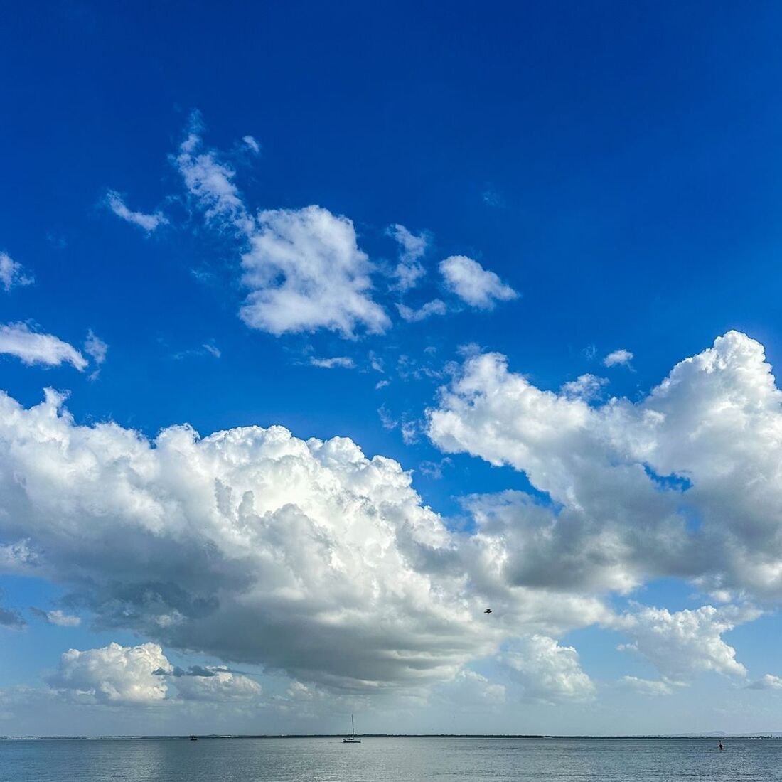 publicação Dânia Neto