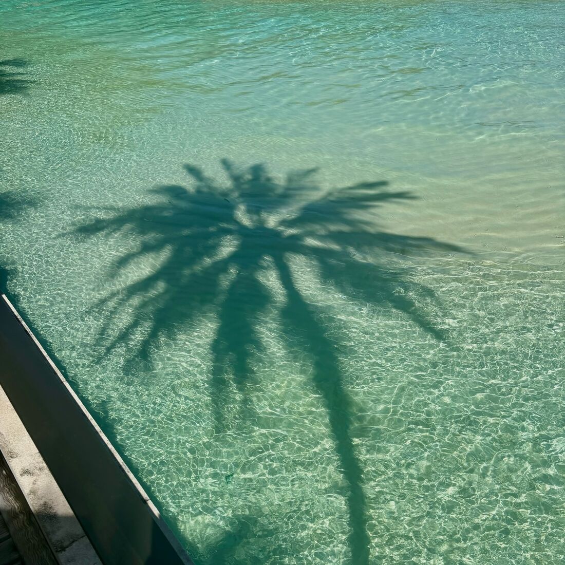 Matilde Mourinho, Danny Graham