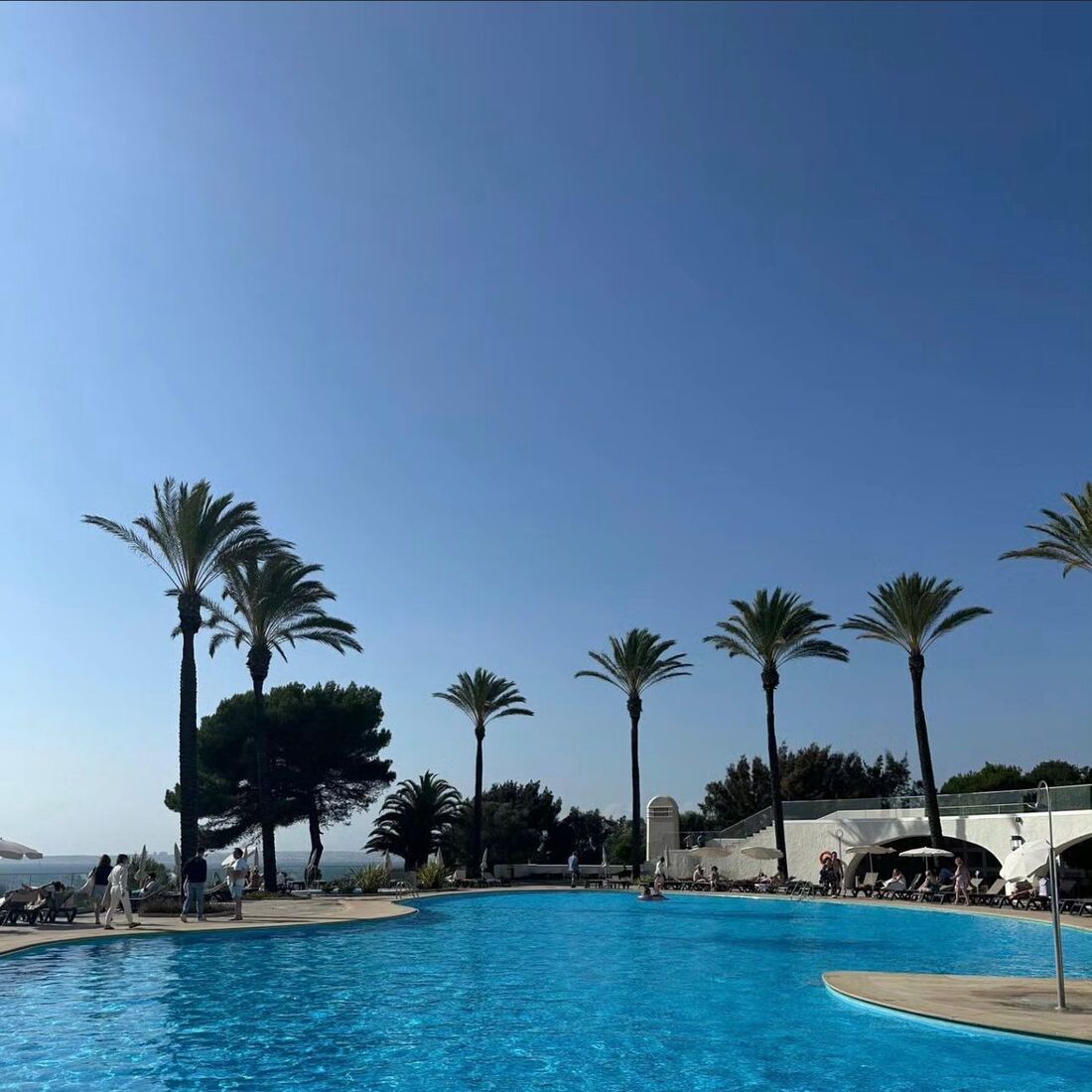 publicação de Tiago Teotónio Pereira