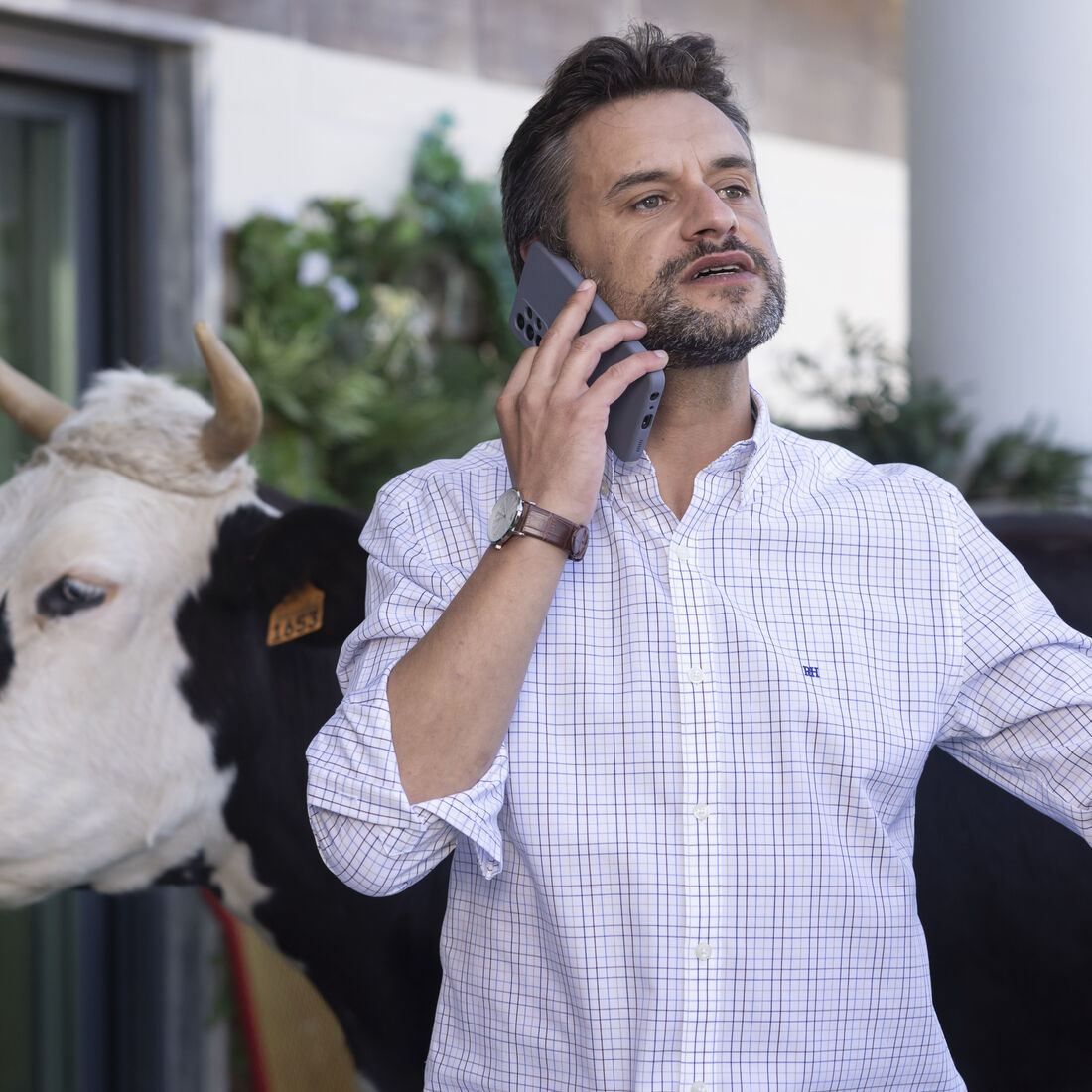 Vizinhos para Sempre