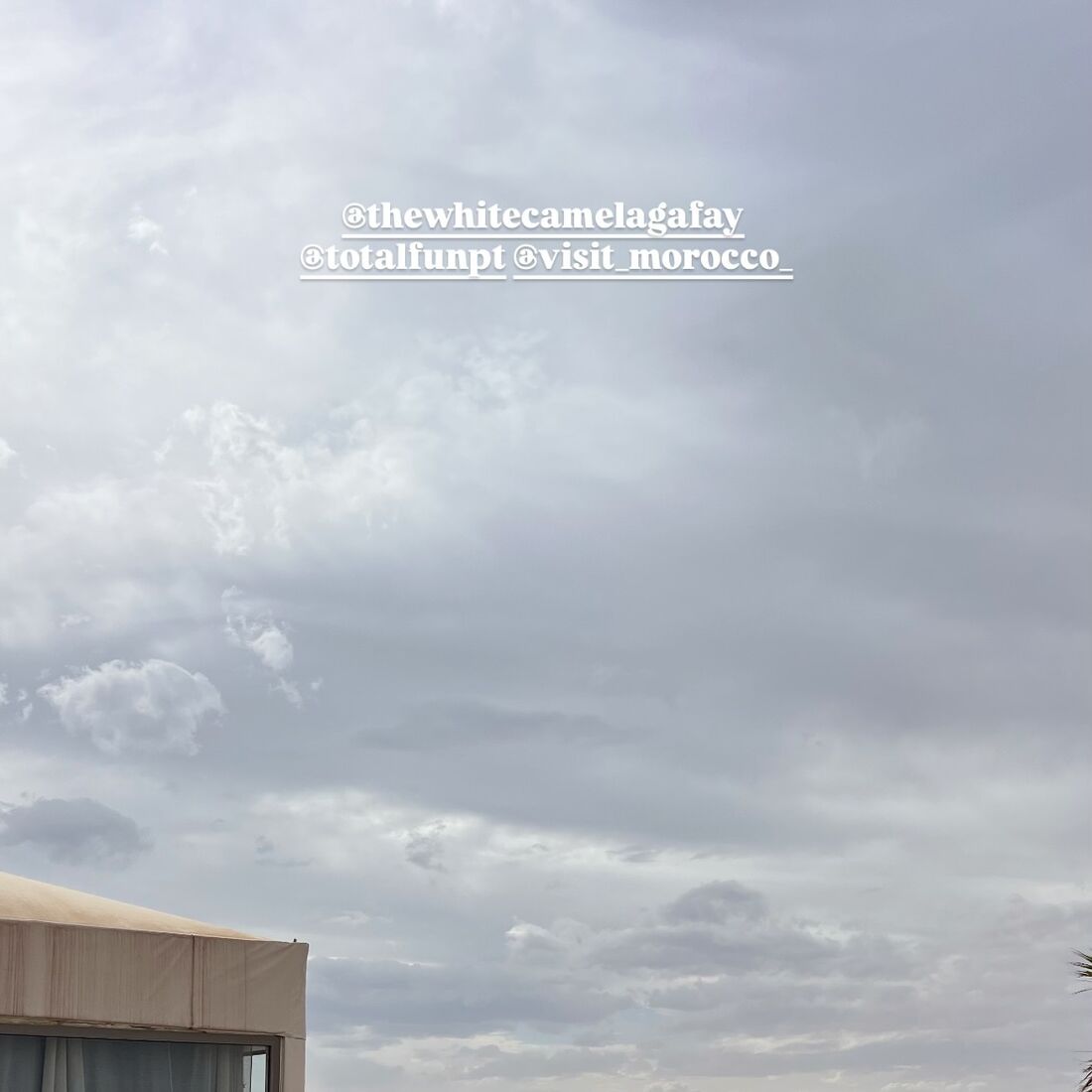 publicação Tiago Froufe Costa