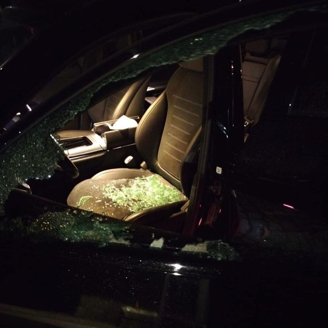 publicação Augusto Canário