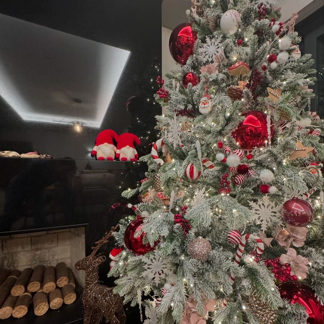 publicação Andreia Rodrigues