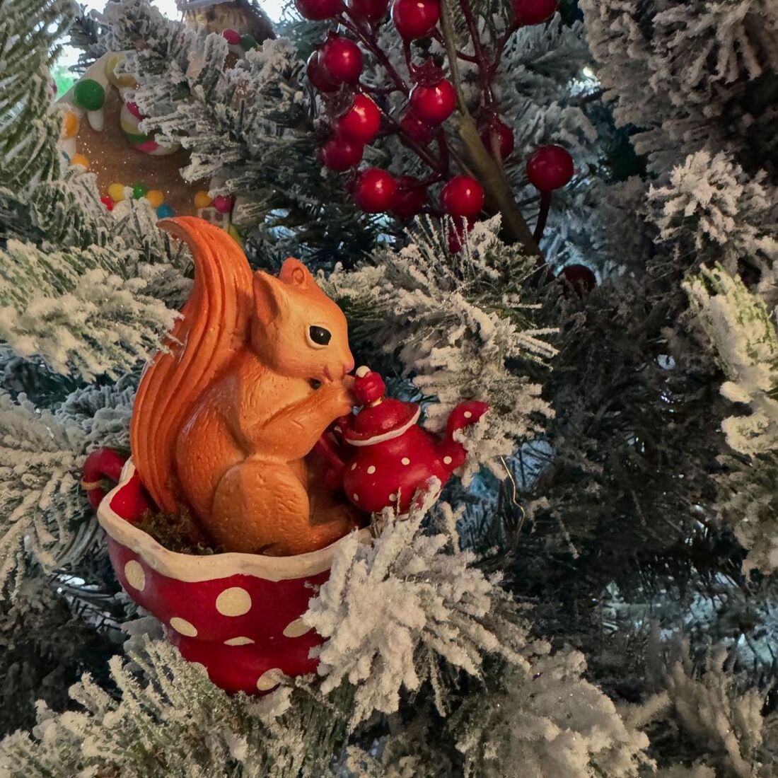 publicação Andreia Rodrigues