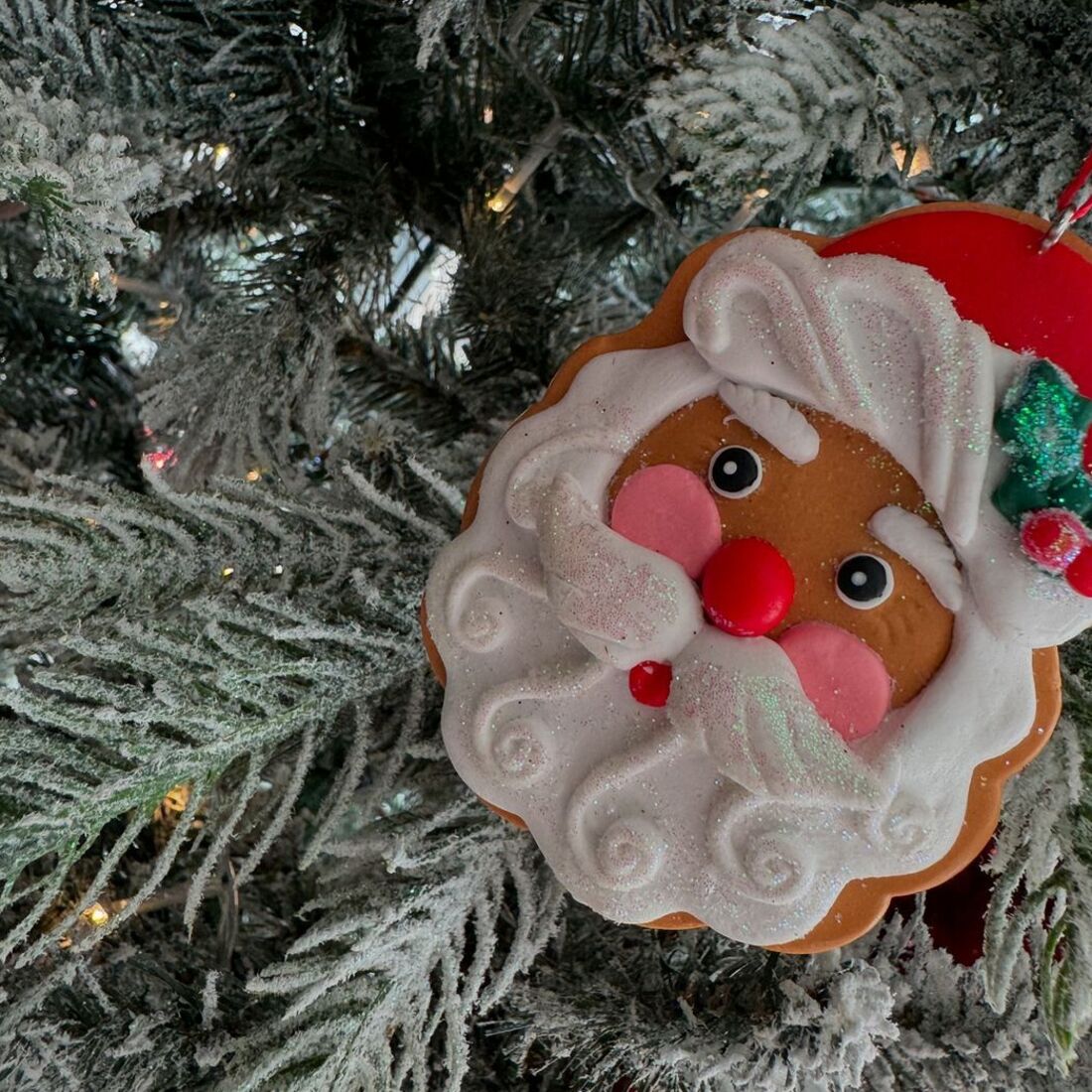 publicação Andreia Rodrigues