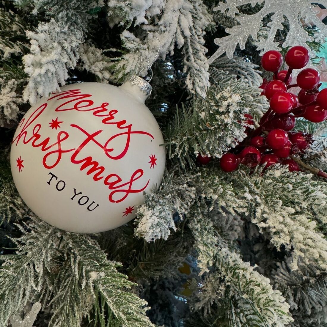 publicação Andreia Rodrigues