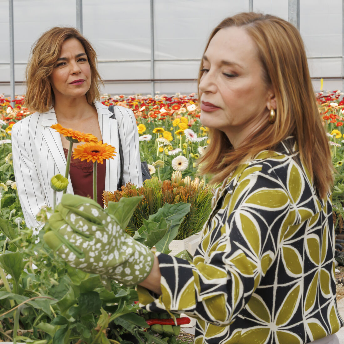 'Senhora do Mar': Margarida Cardeal, Manuela Couto