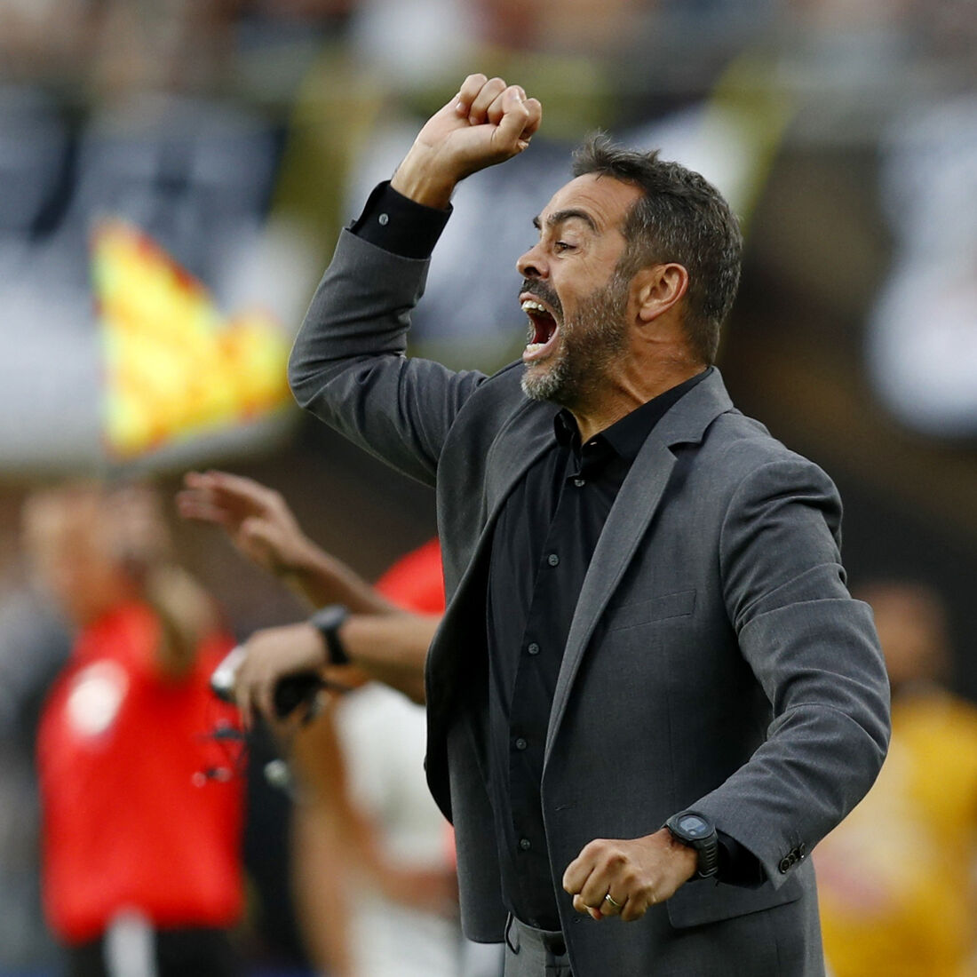 Artur Jorge, Botafogo