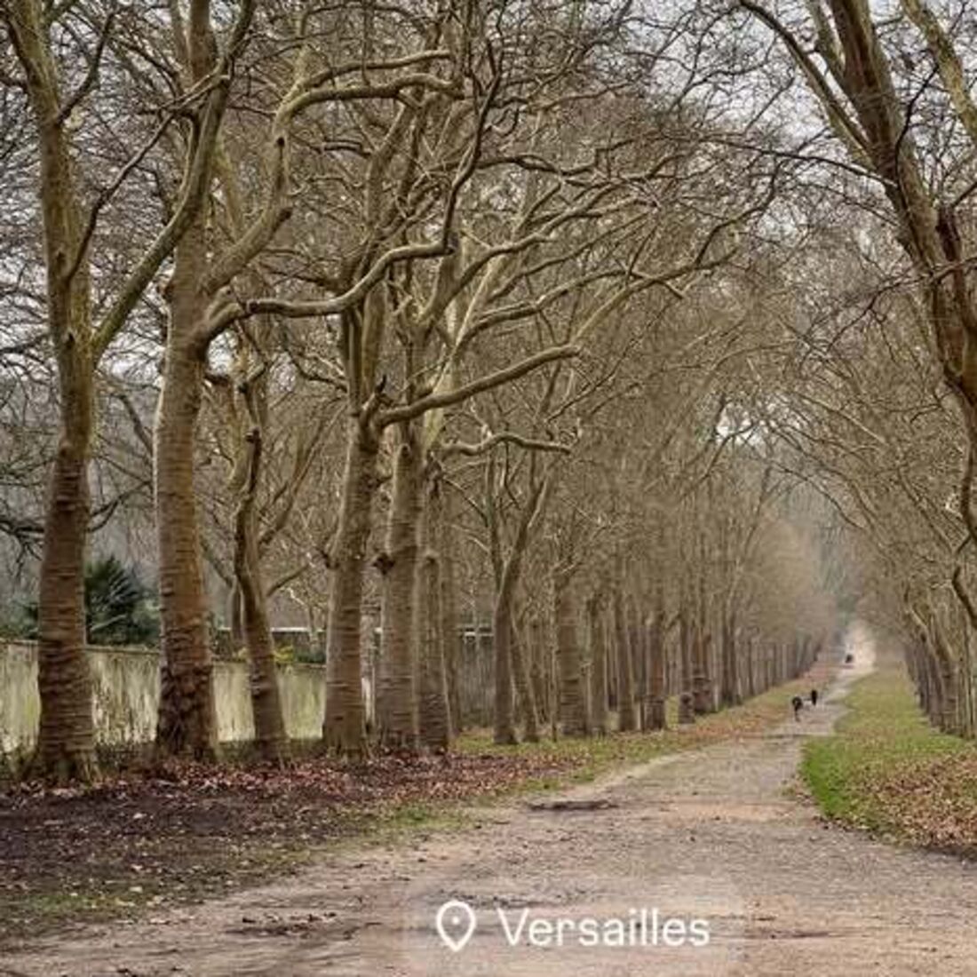 Cristina Ferreira, Versalhes