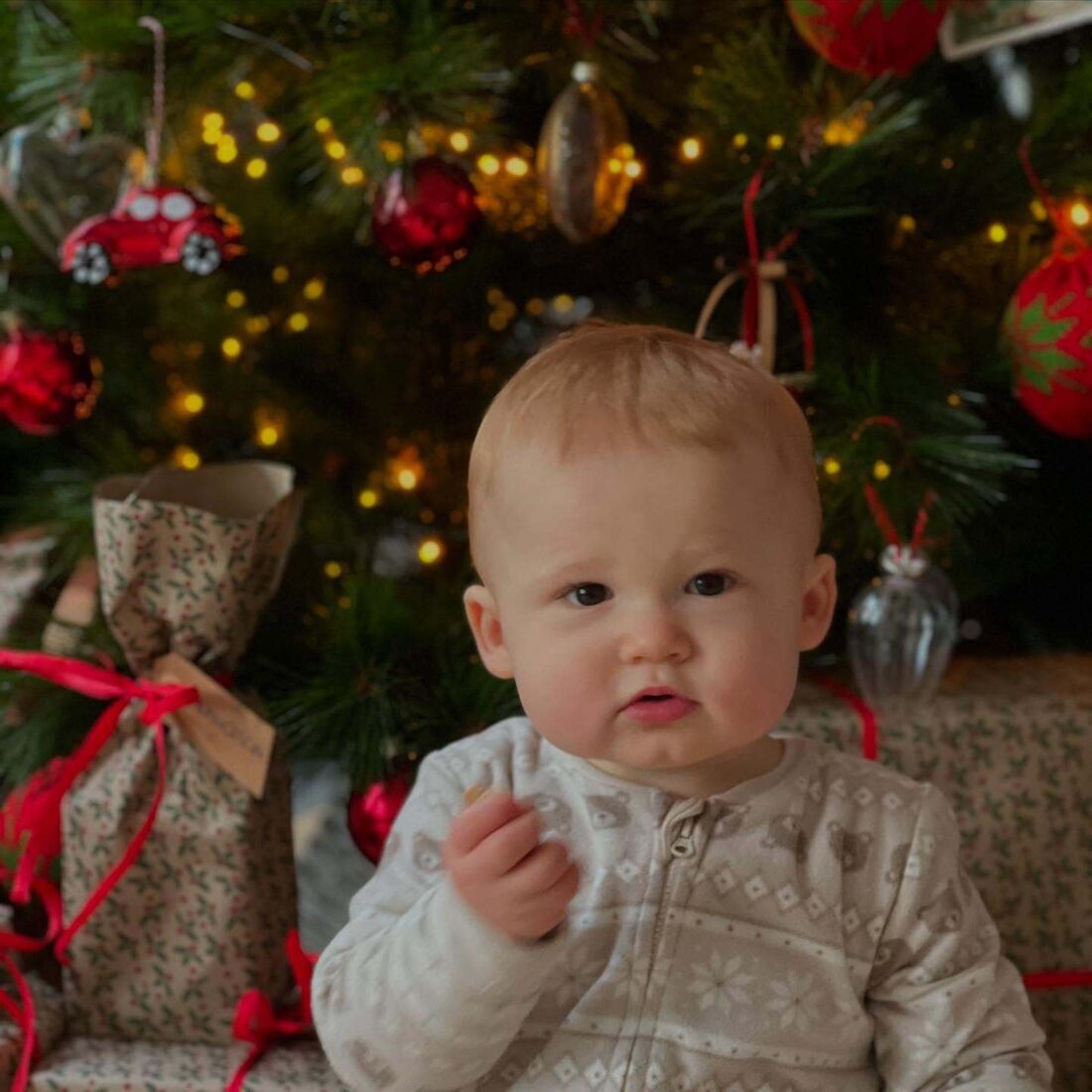 Maria Botelho Moniz, Vicente