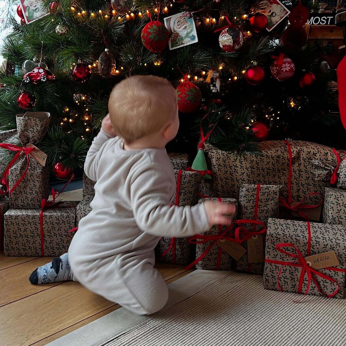 Maria Botelho Moniz, Vicente