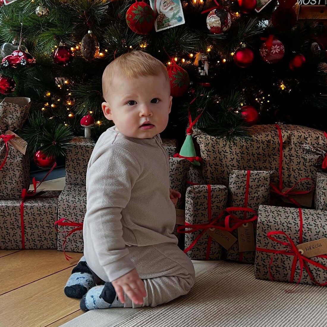 Maria Botelho Moniz, Vicente