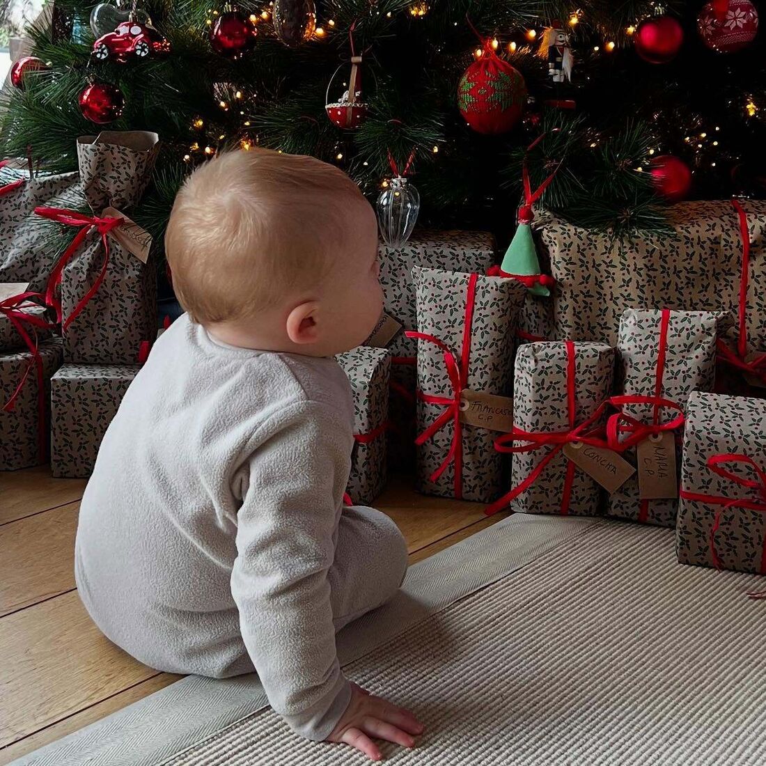 Maria Botelho Moniz, Vicente