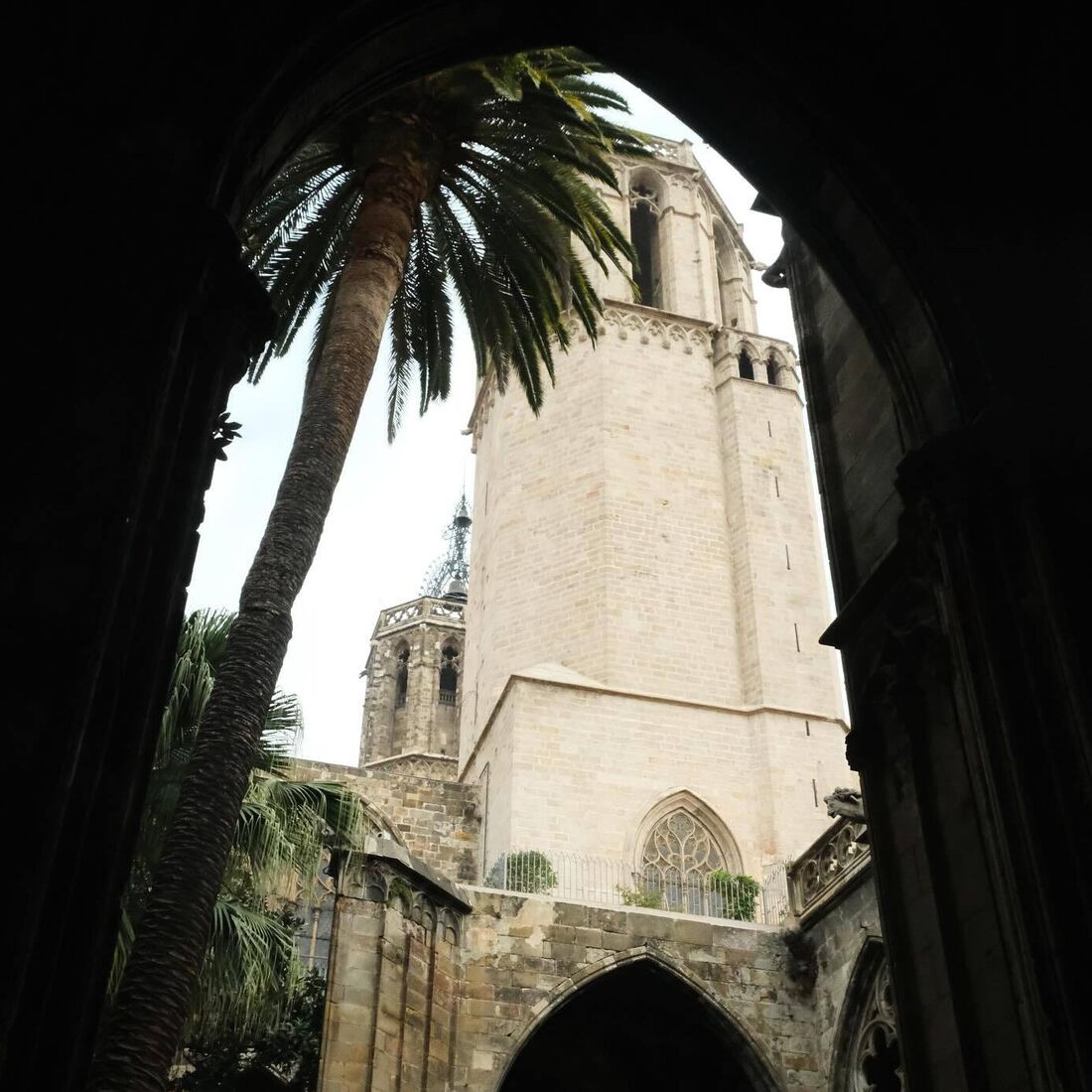 Madalena Aragão, João Neves, Barcelona