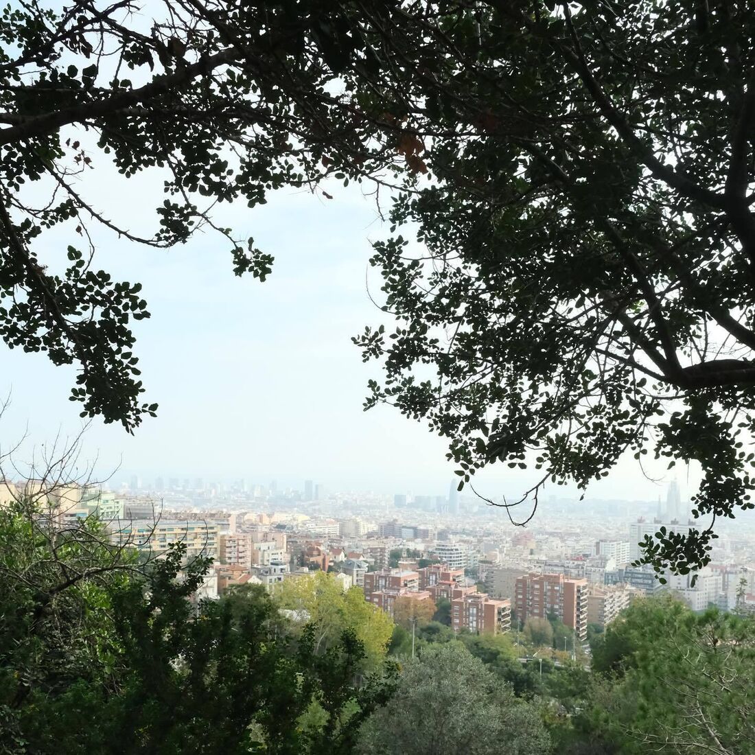 Madalena Aragão, João Neves, Barcelona