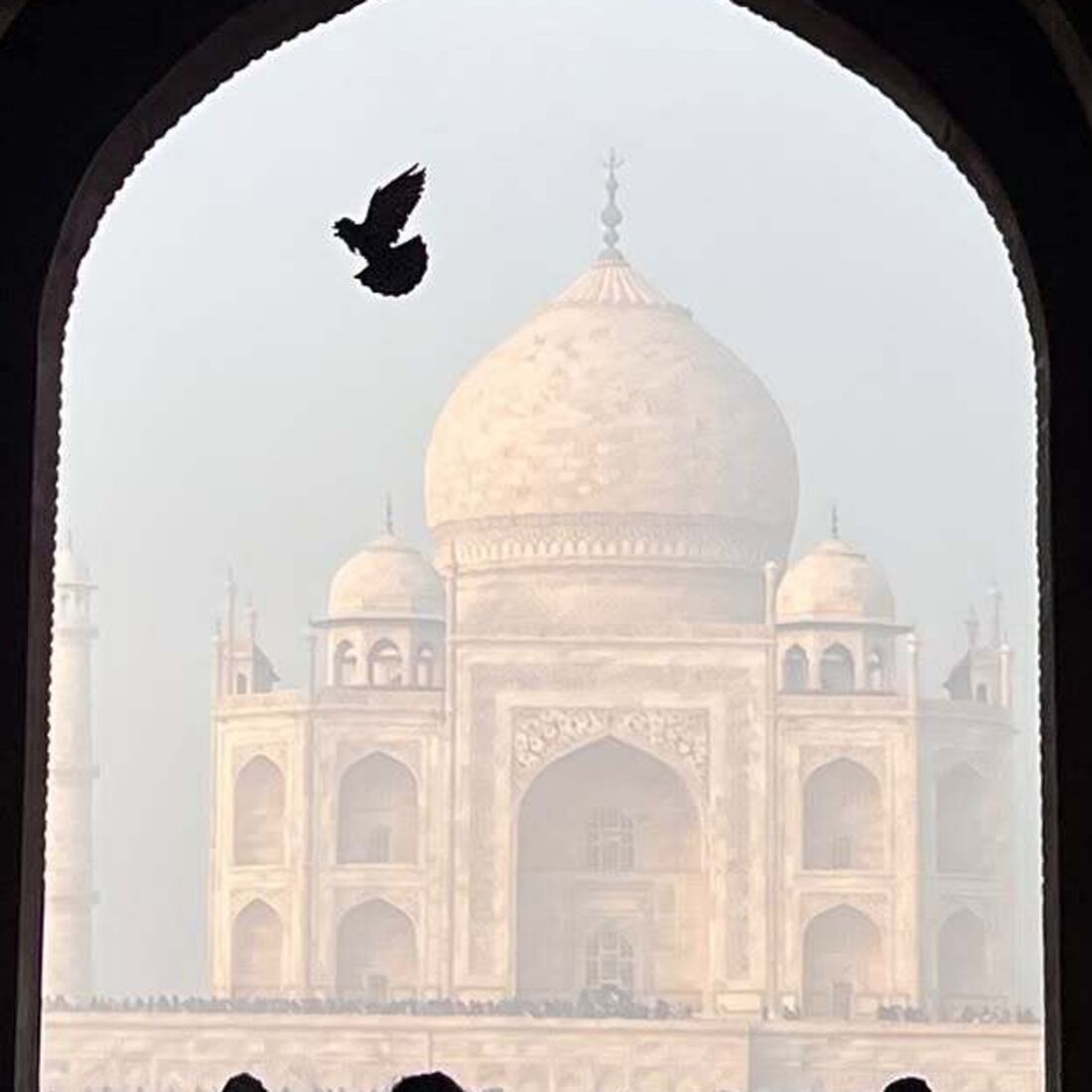 Cristina Ferreira, Índia