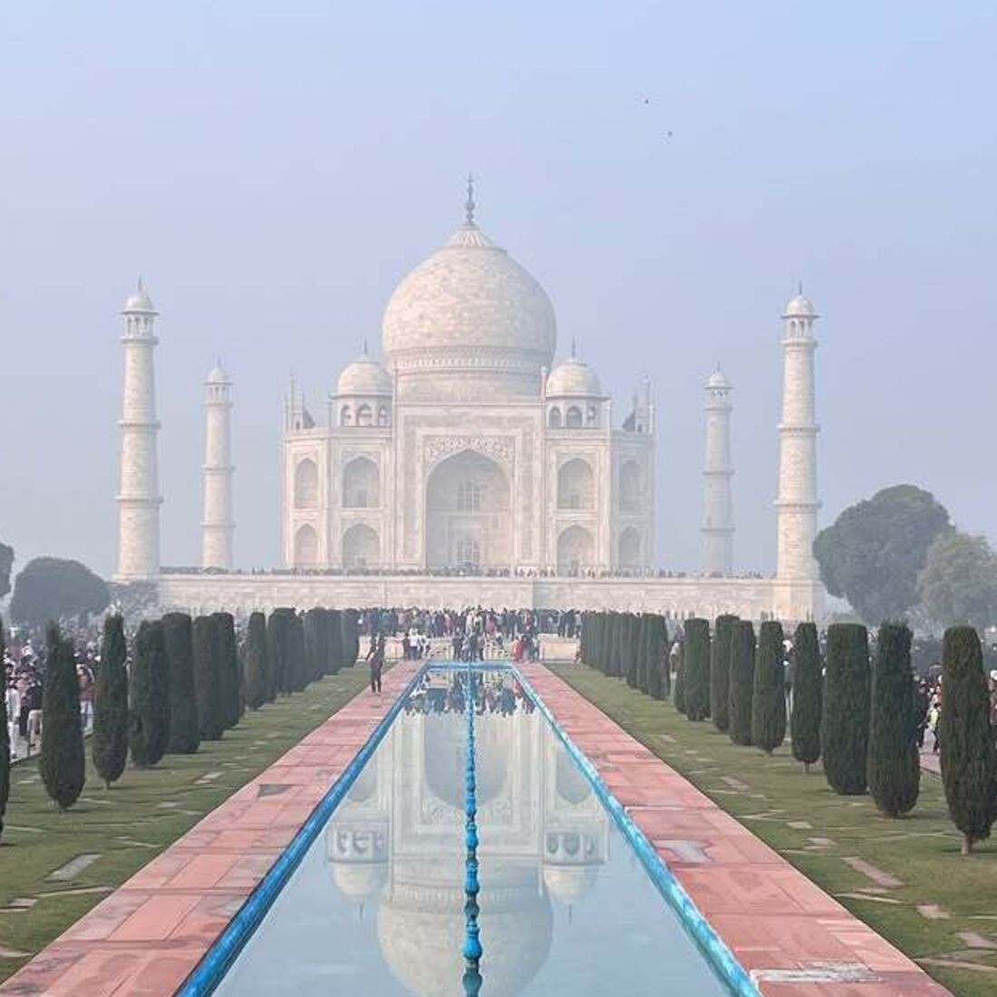 Cristina Ferreira, Índia