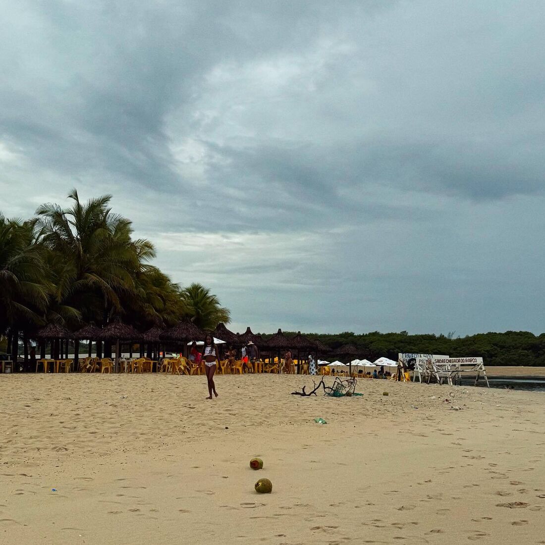Inês Aires Pereira, Brasil