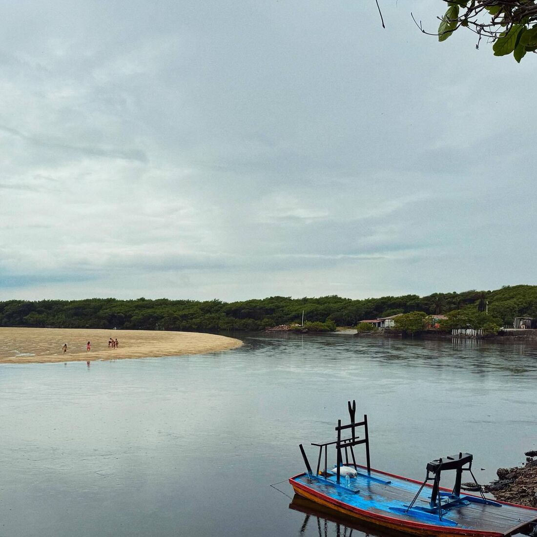Inês Aires Pereira, Brasil