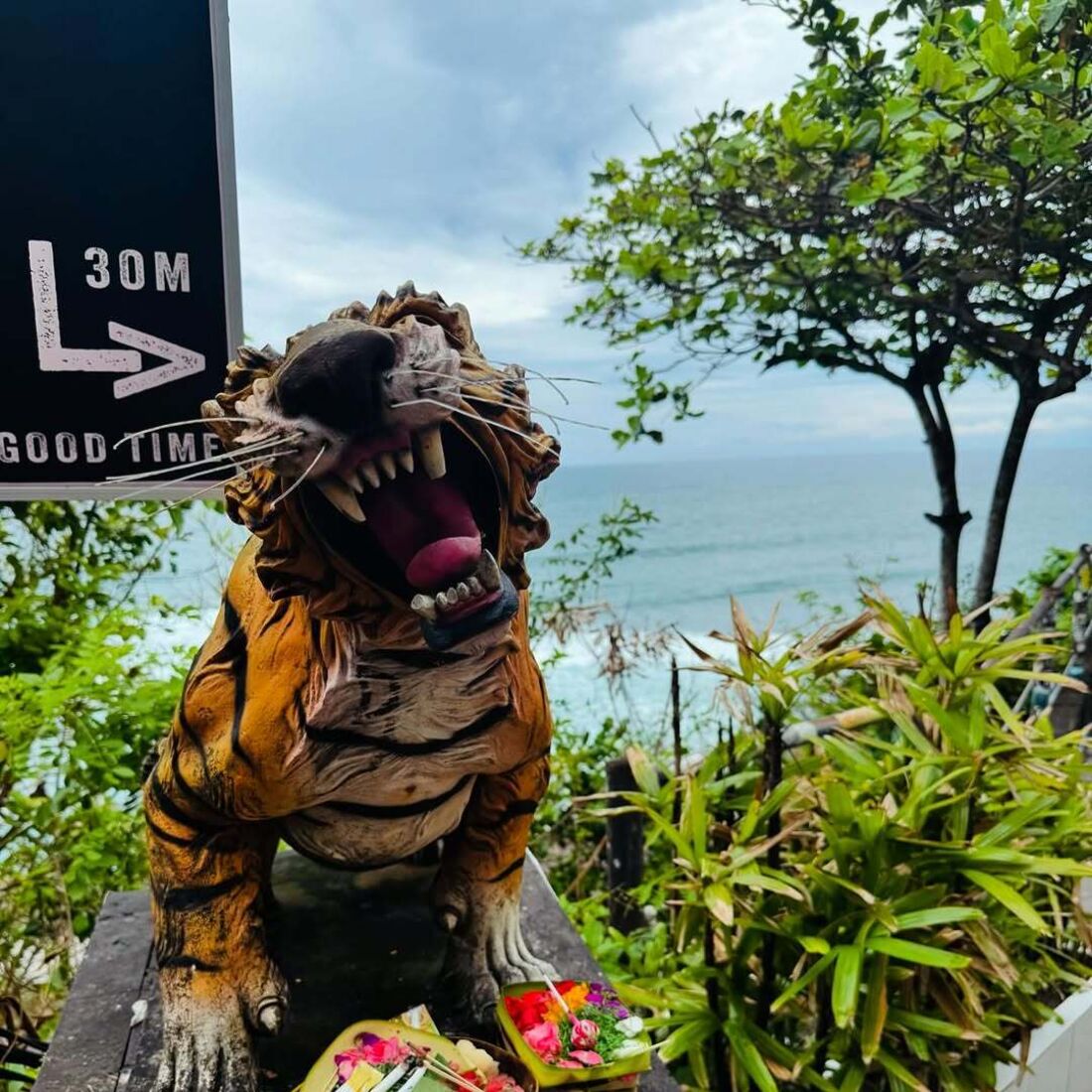 Oceana Basílio Instagram