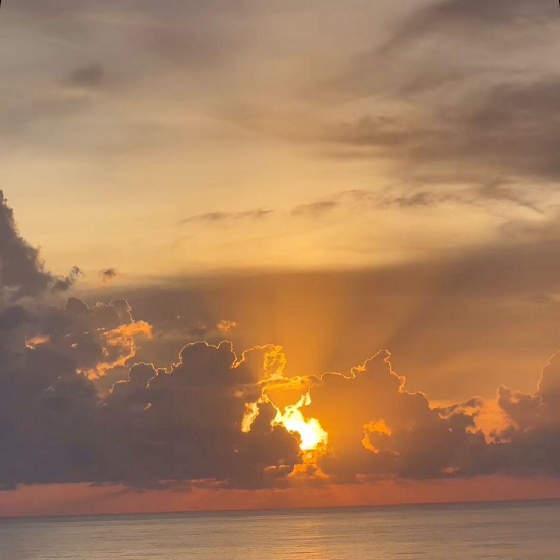Story Oceana Basílio