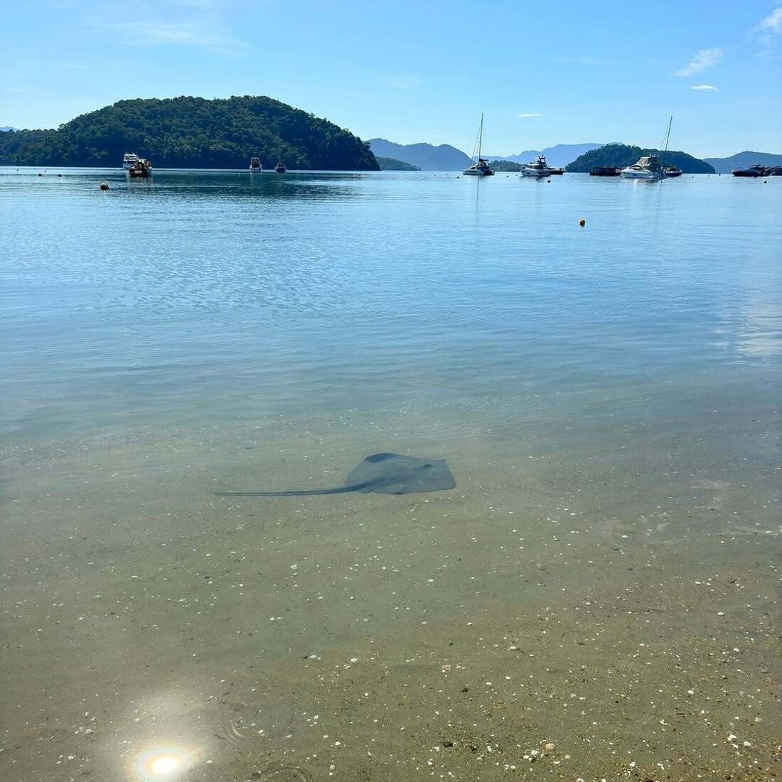 Catarina Gouveia Foto