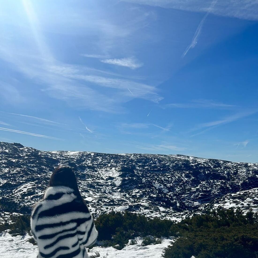 Renata Reis e Maycon Douglas