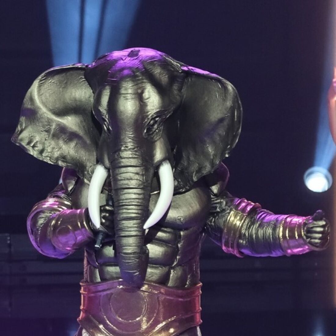 Elefante, A Máscara