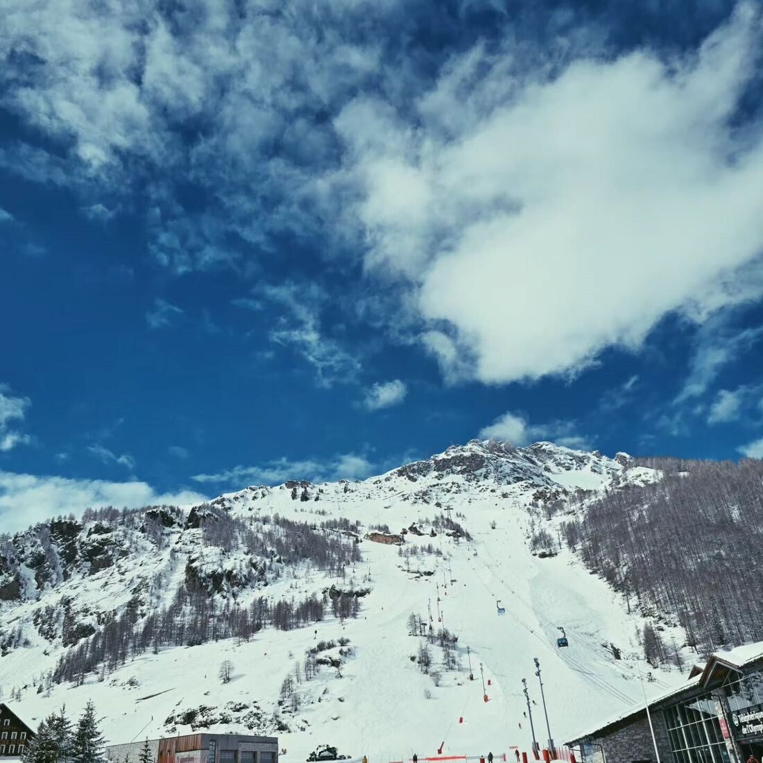 Tiago Teotónio Pereira, neve
