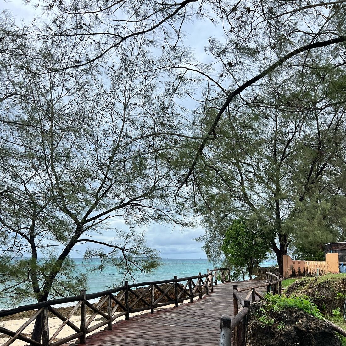 Cristina Ferreira, Zanzibar