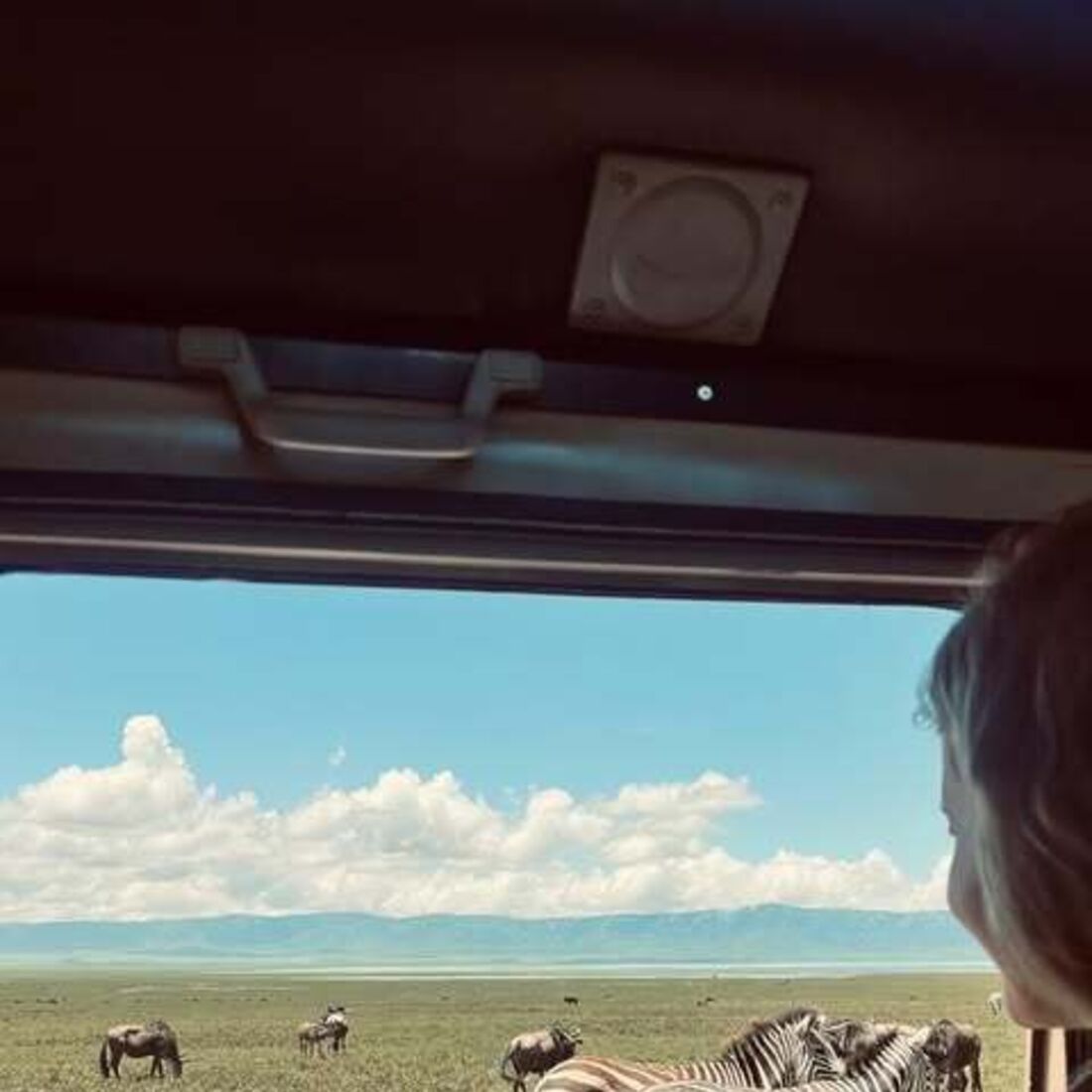 Cristina Ferreira, Safari