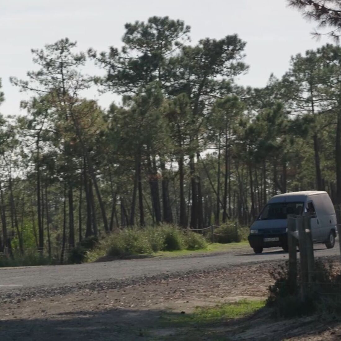 Helena é presa após denúncia de Olga, acusada de matar António