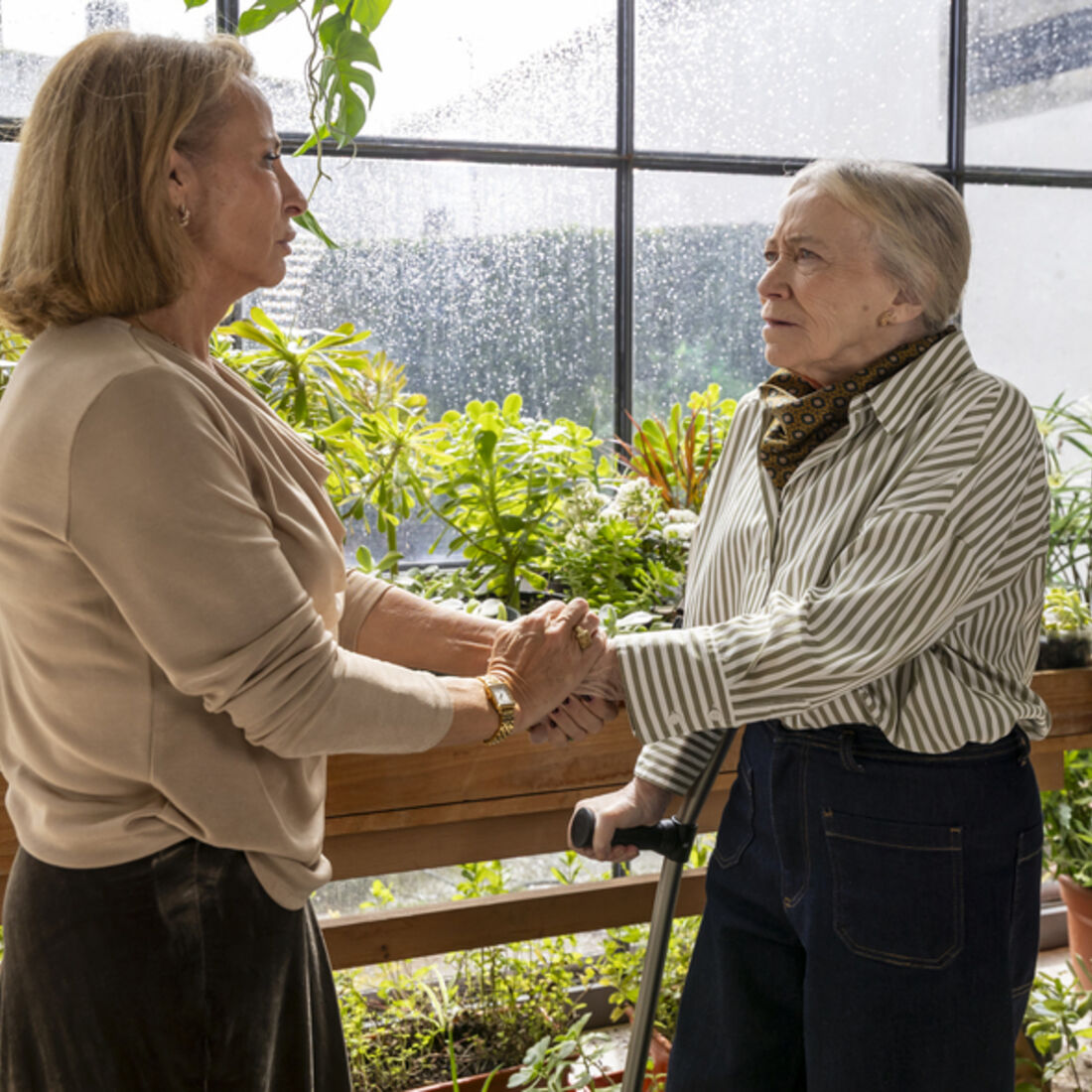 Após acidente, Mariana desaparece e Benedita e Laura temem o pior