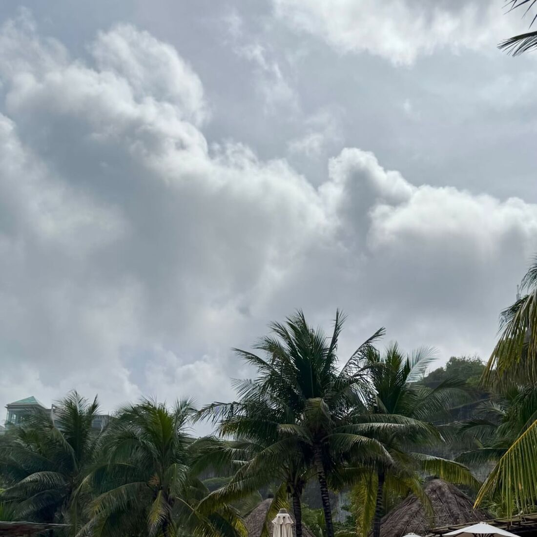 Inês Morais e Pedrinho desfrutam de férias em Bali, após vitória no 'Desafio Final'