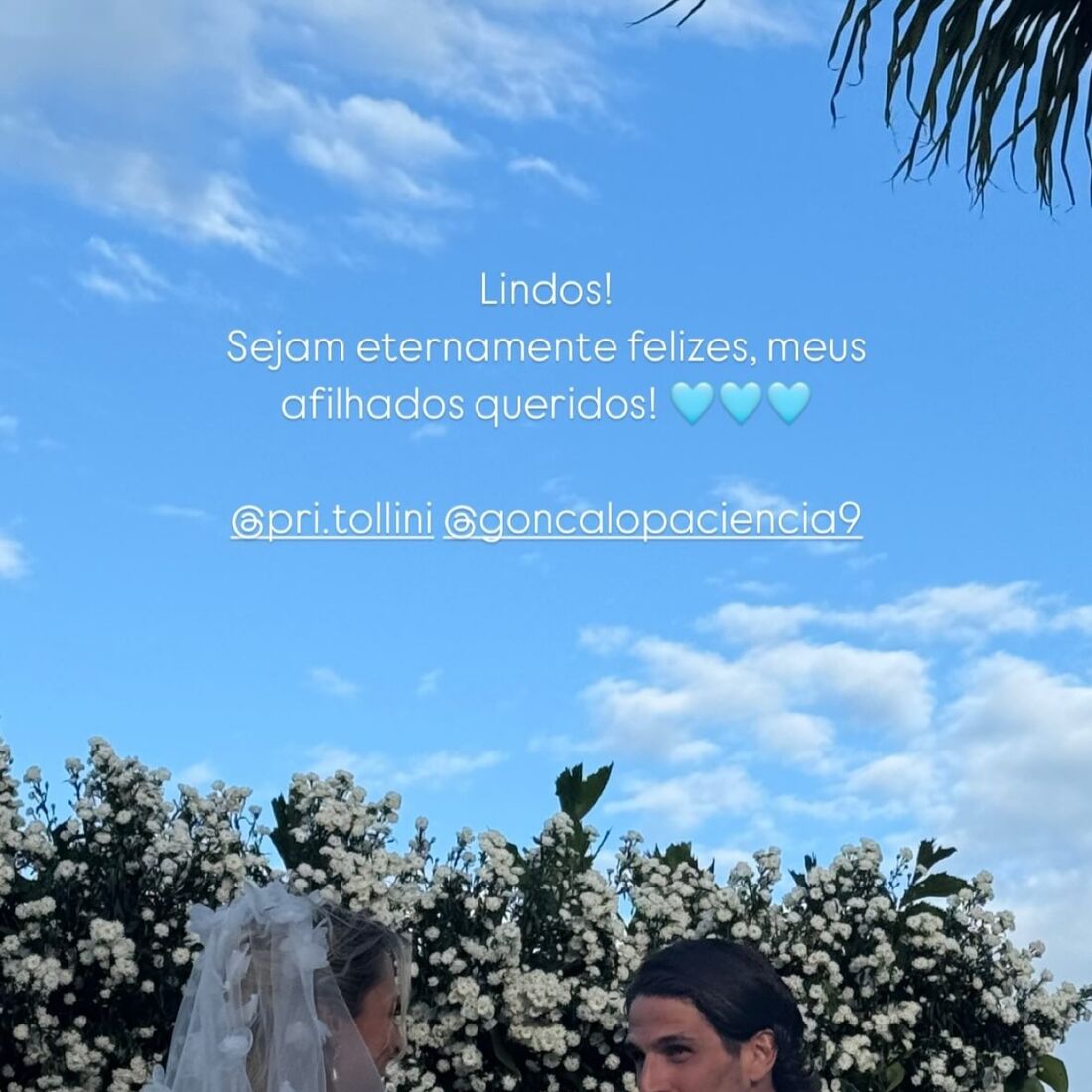 Casamento Domingos Paciência e Priscilla Tardelli Tollini