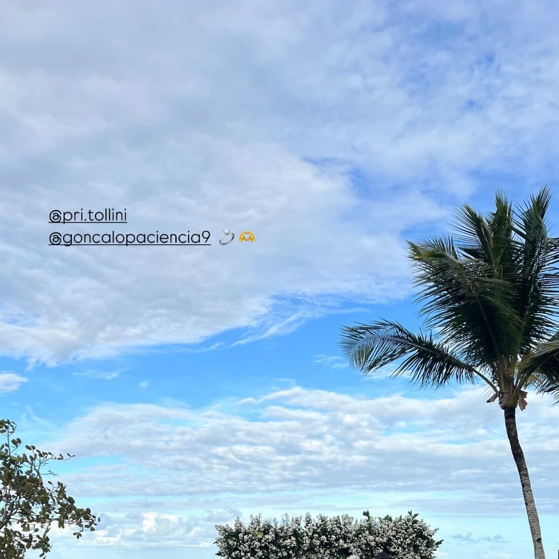 Casamento Domingos Paciência e Priscilla Tardelli Tollini