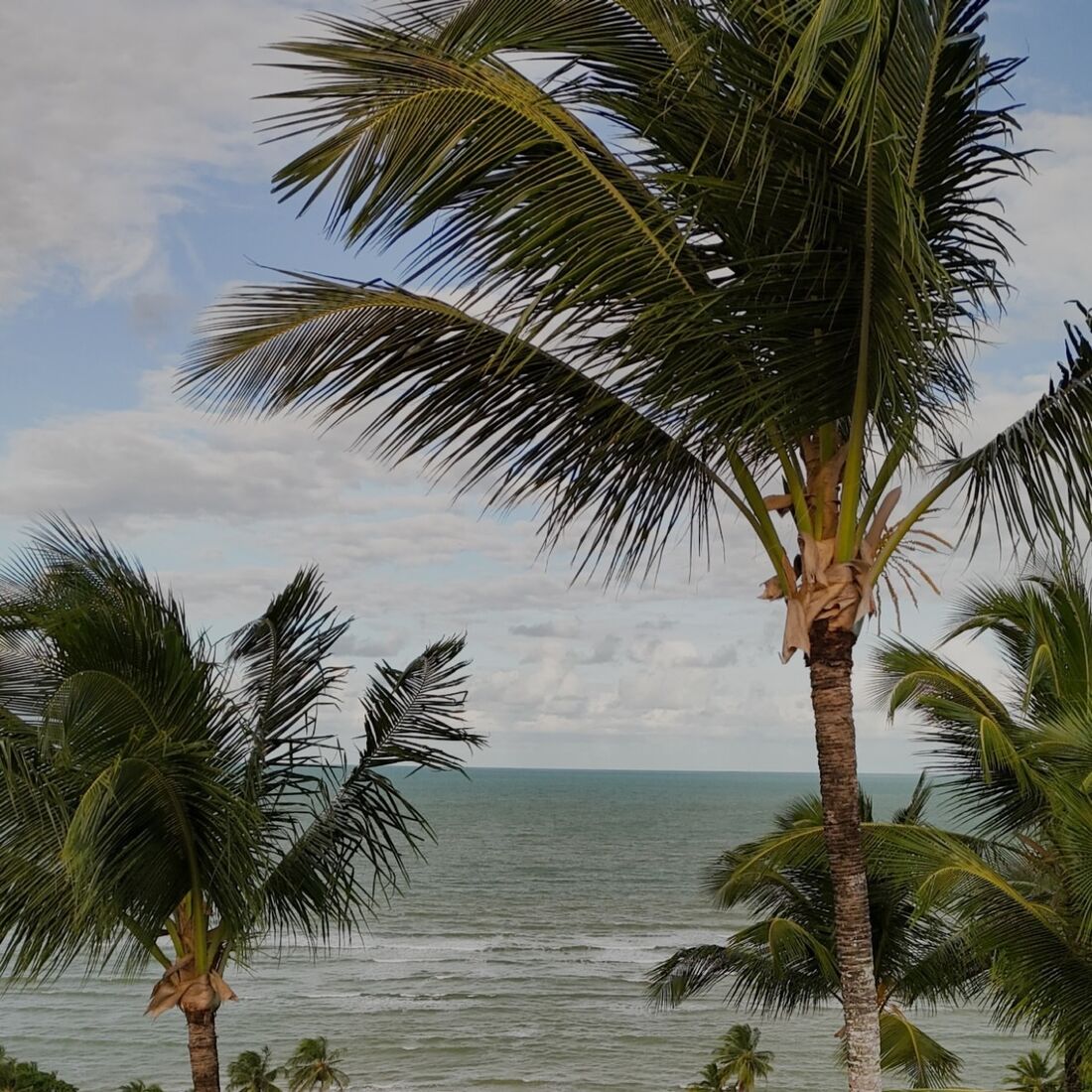 Casamento Domingos Paciência e Priscilla Tardelli Tollini