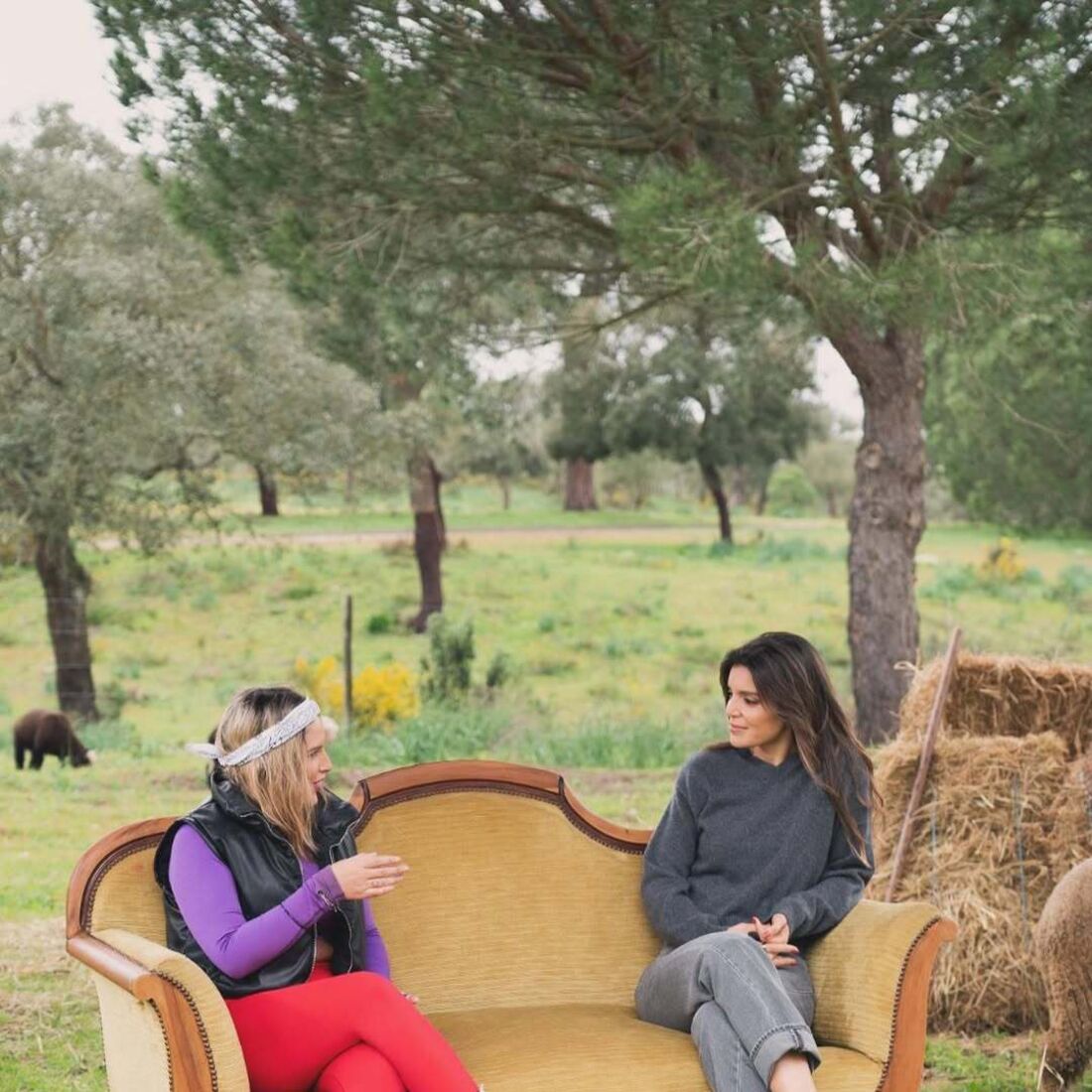 Mariline Moreira confronta Andreia Rodrigues sobre trauma em programa da SIC