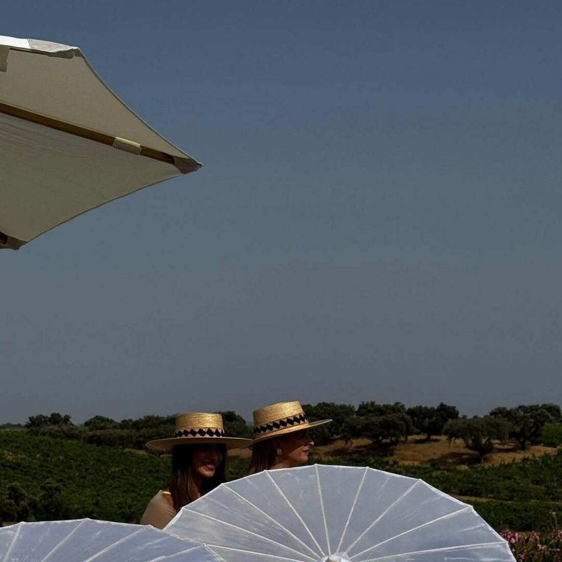 Casamento de João Cajuda no Alentejo com Sara Prata e Mariana Monteiro