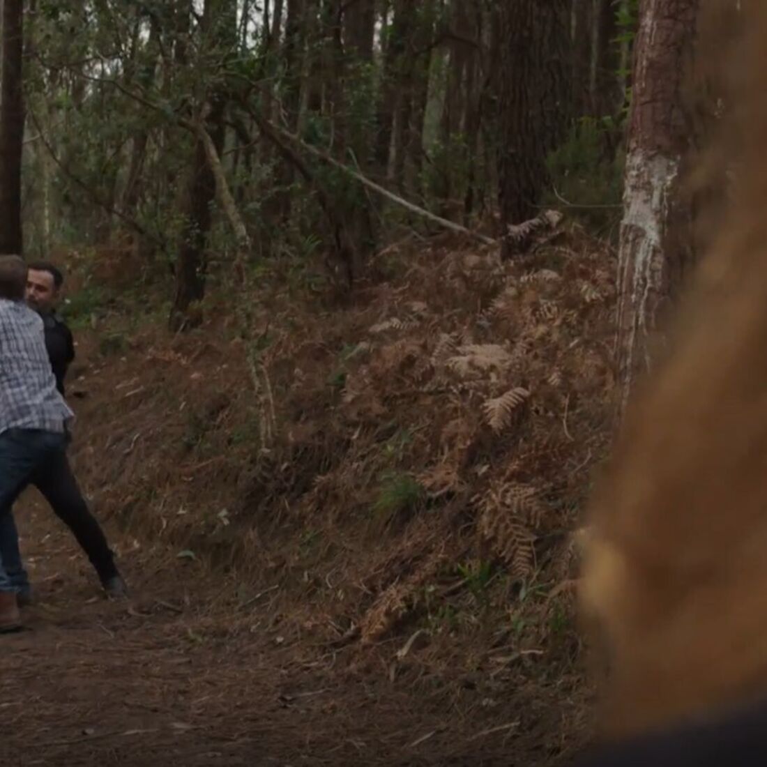 Luís mata um homem na floresta para proteger Micá num crime passional